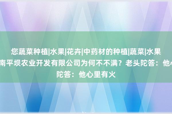 您蔬菜种植|水果|花卉|中药材的种植|蔬菜|水果|花卉|云南平坝农业开发有限公司为何不不满？老头陀答：他心里有火