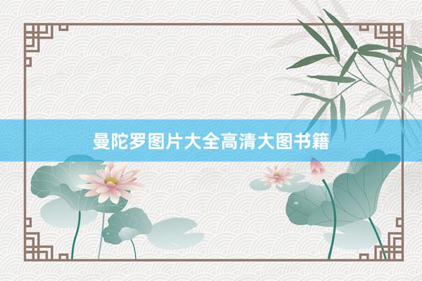 曼陀罗图片大全高清大图书籍