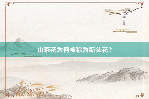 山茶花为何被称为断头花？